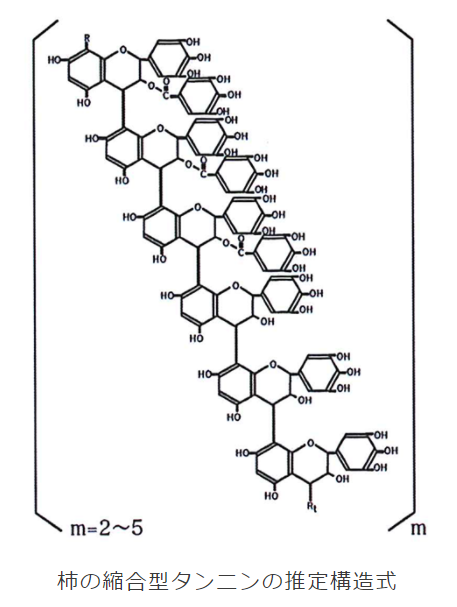 柿渋の化学構造式